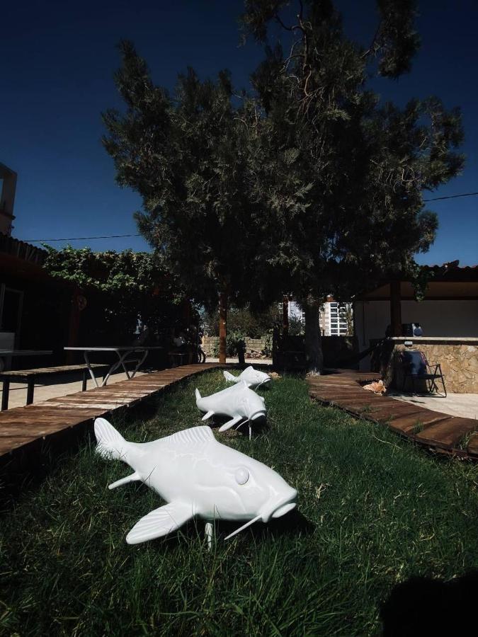 Camp&Hostel Antalya Exteriér fotografie
